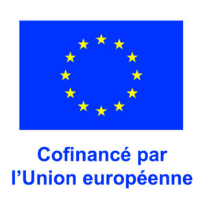 embleme UE couleur vertical